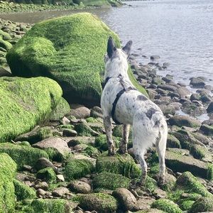 Meet your Posher, Evalyn